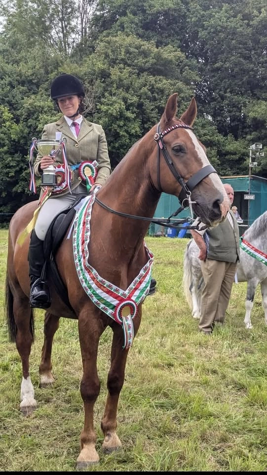 BMB Annual Horse Show - Sunshine Tour Qualifiers - Clydach Riding Club Field -SA6 5BS