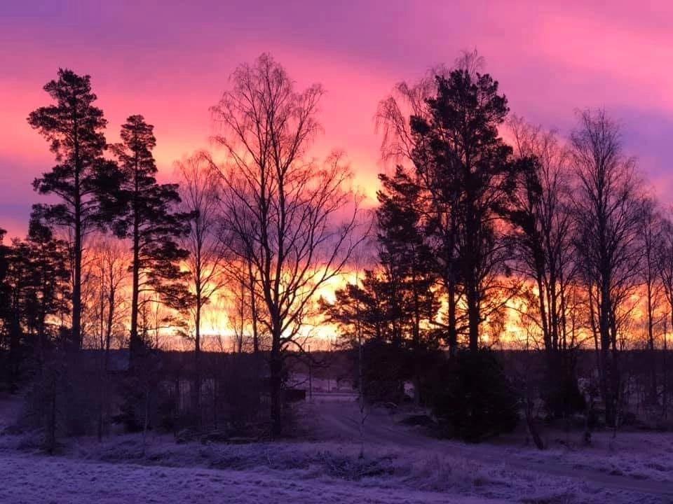 Klä midsommarstång med oss!