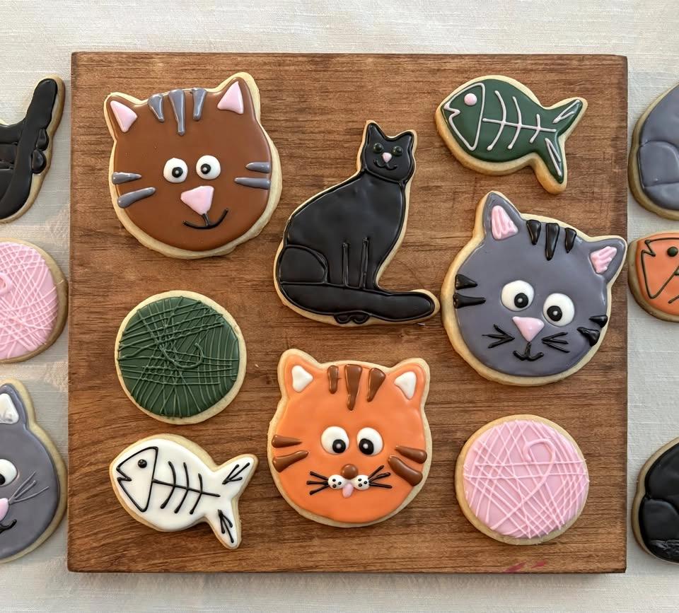 Cookies and Cats with The Cookie Canvas