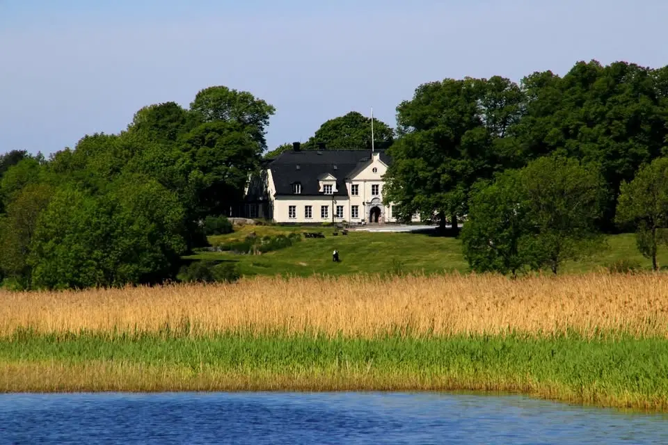 En natt ute i Hammarskog