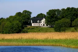 En natt ute i Hammarskog