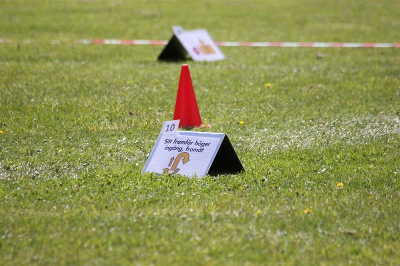 Rallylydnad - coachinggrupp avancerad/mästare