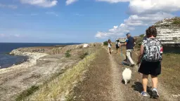 Stenkusten – en matvandring i skumtimmens landskap