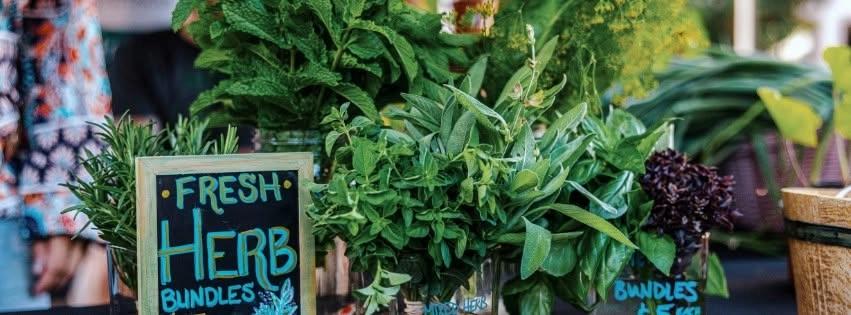 Downtown Tulsa Midweek Market - July 29