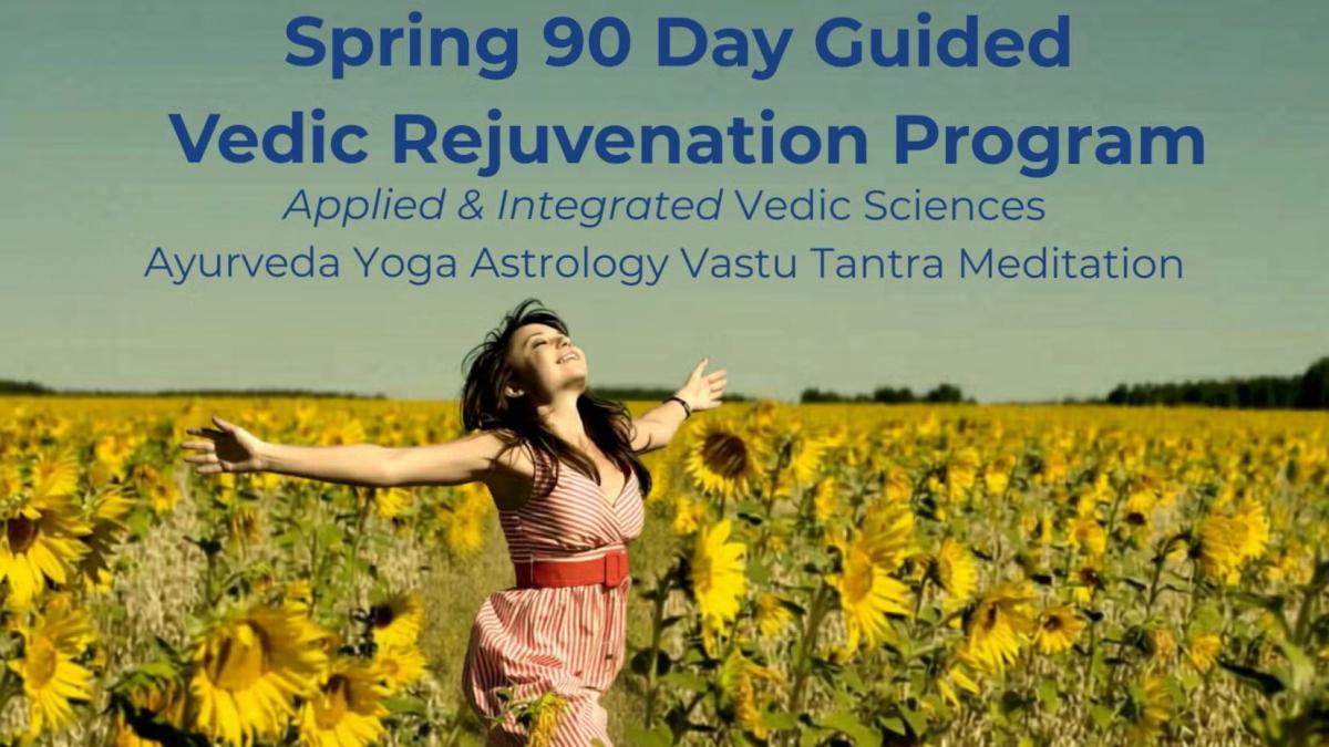 Spring to Summer 90 Day Wellness Challenge Program