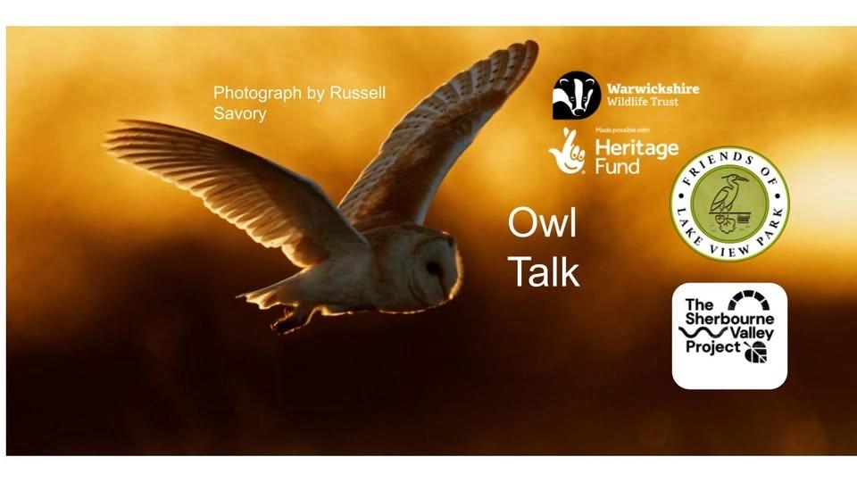 Owl Talk