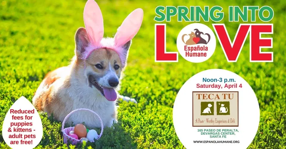 Teca Tu hosts Saturday adoption event