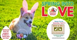 Teca Tu hosts Saturday adoption event