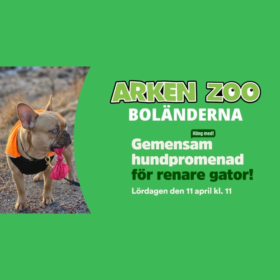 Tassa med på hundpromenad för renare gator! | Arken Zoo Boländerna