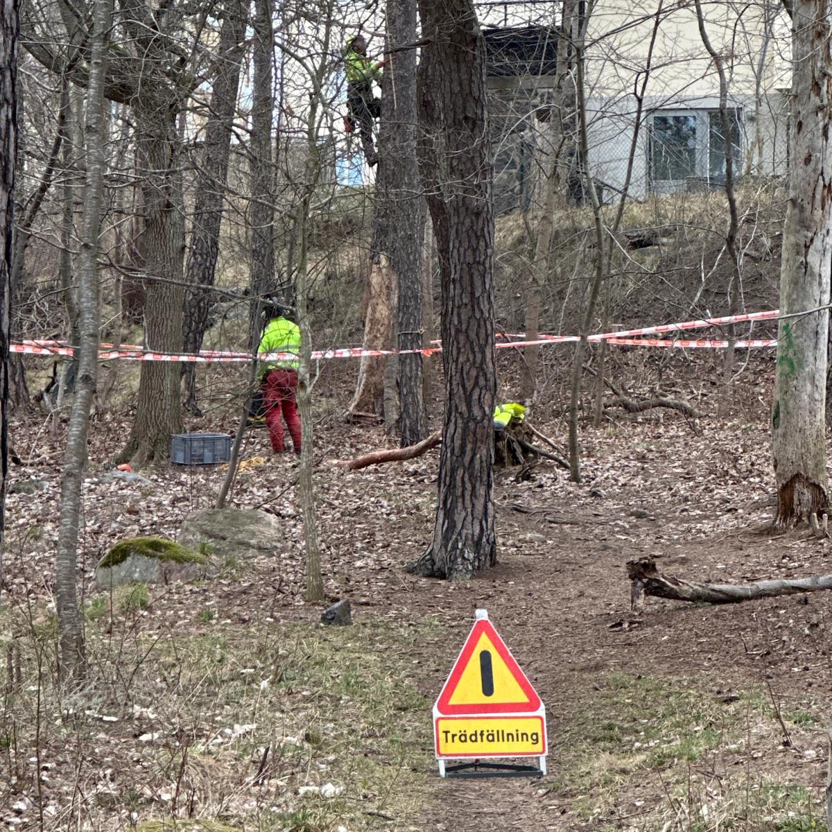 Kul och roligt