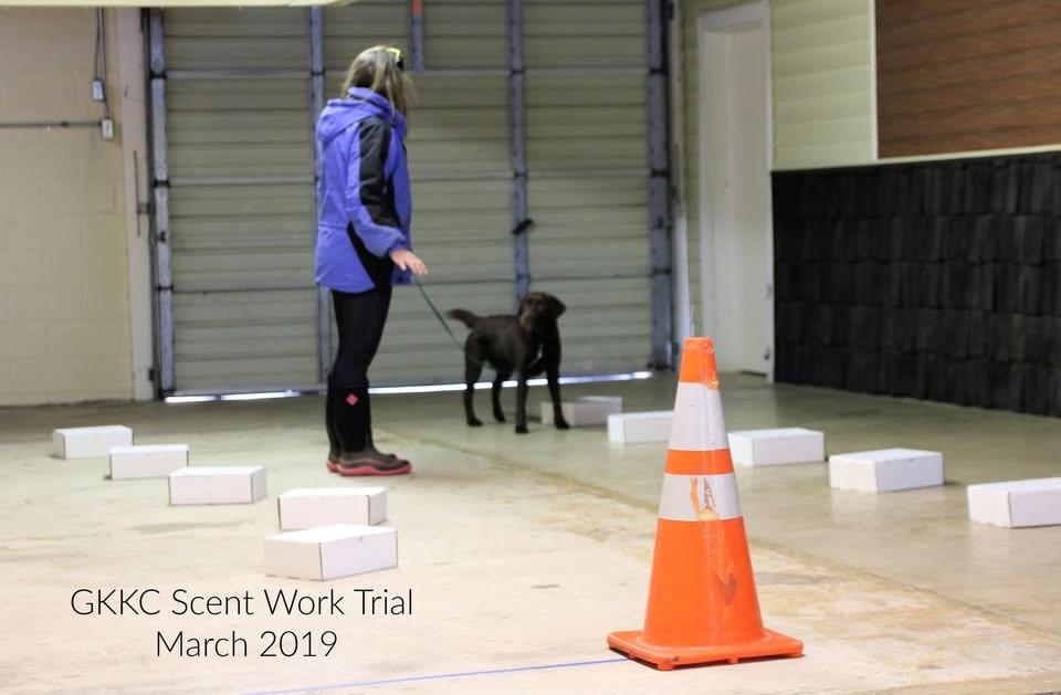 Save the Date: October 23-25, 2026: Greater Kingsport Kennel Club Scentwork Trial