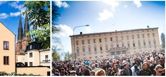 Traditionell sillunch pĂ„ Akademihotellet đ„đ