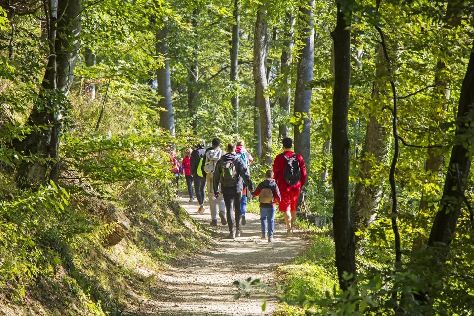 Fira 60 år med slottslunch, historia och magisk utsikt vid Vättern! Karlsborg Naturskyddsförening