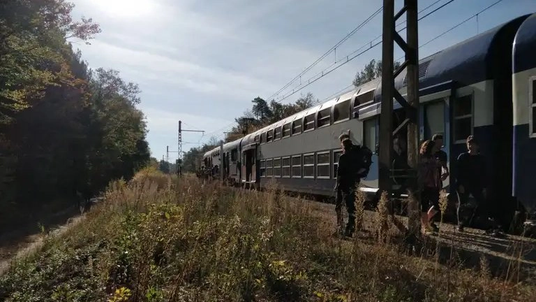 Rando #46 : 15 km dans la forêt de Fontainebleau depuis l'arrêt fantôme (77)