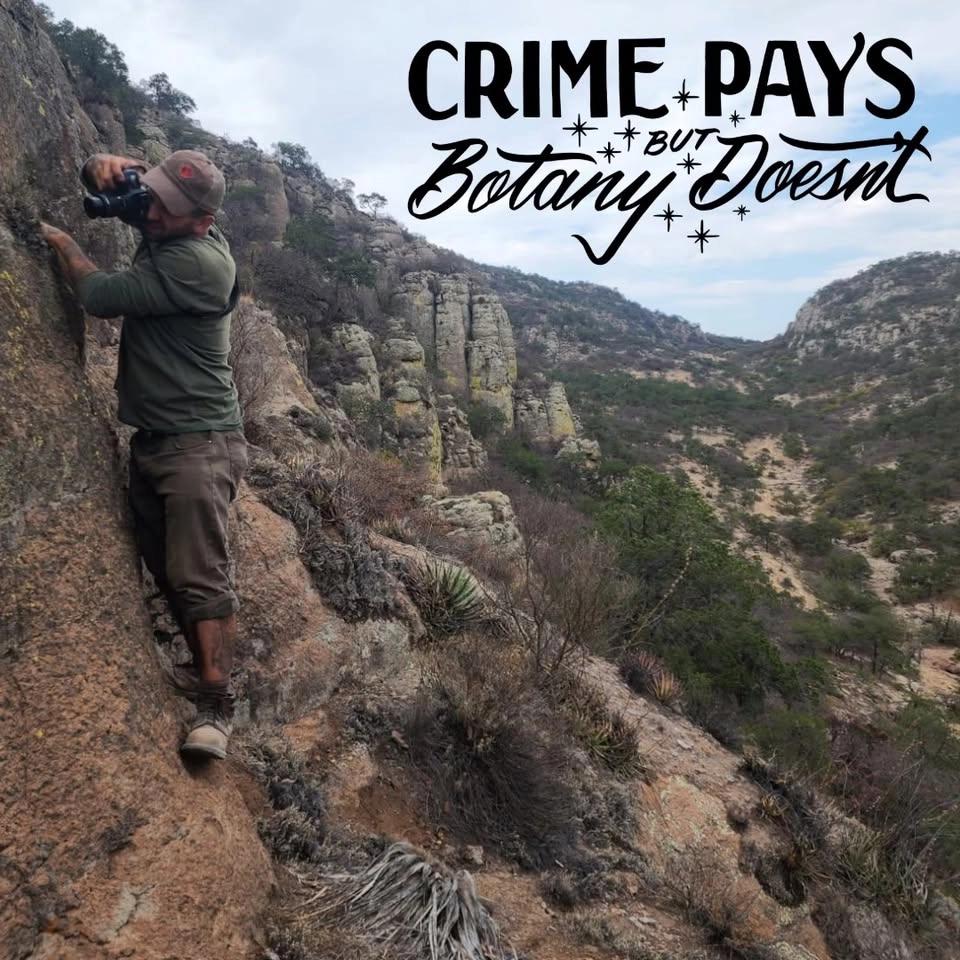 Crime Pays But Botany Doesn't