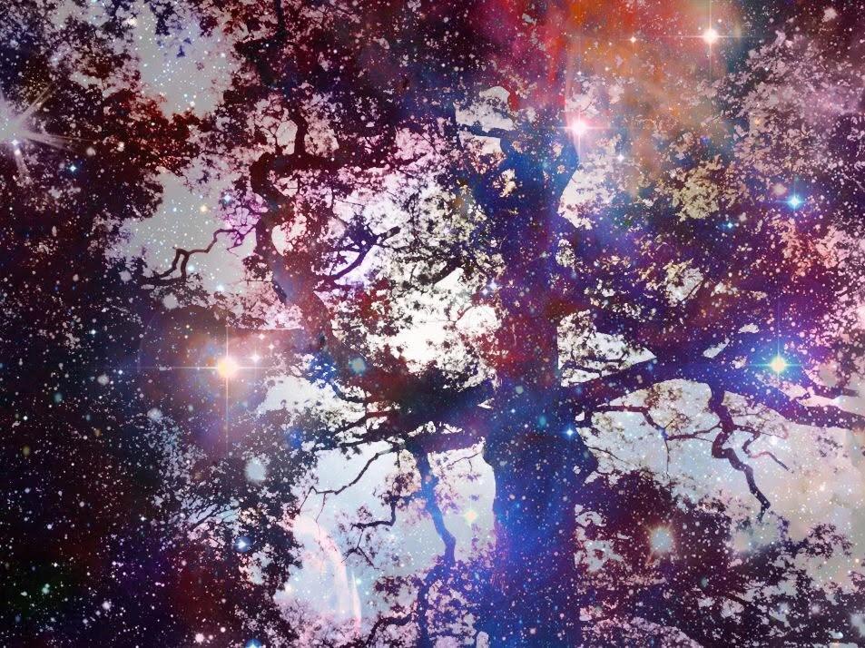 Awaken the Shaman Within – Level 1: Foundations of Universal Shamanism