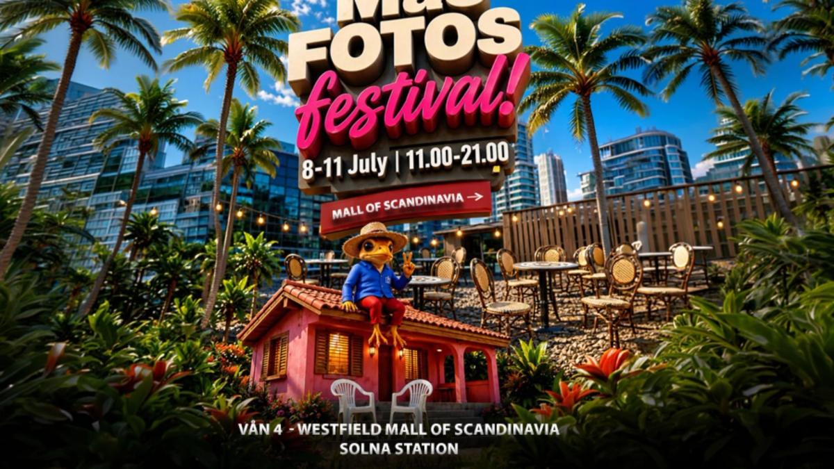 🐰📸🌴 DEBÍ TIRAR MÁS FOTOS FESTIVAL 🌴📸🐰
