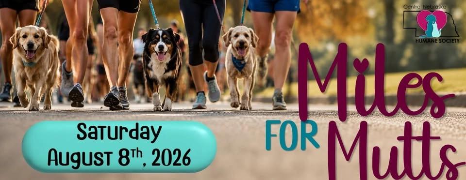 Miles for Mutts