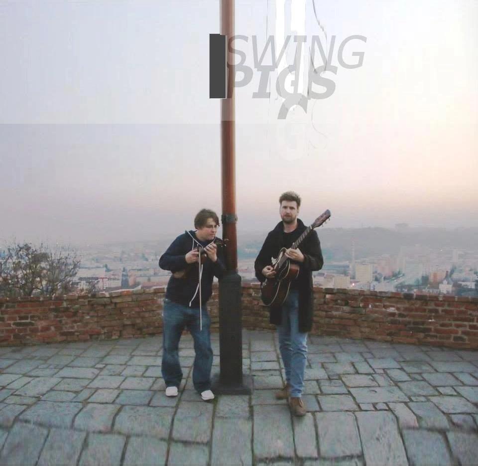 SWING PIGS // PONAVA