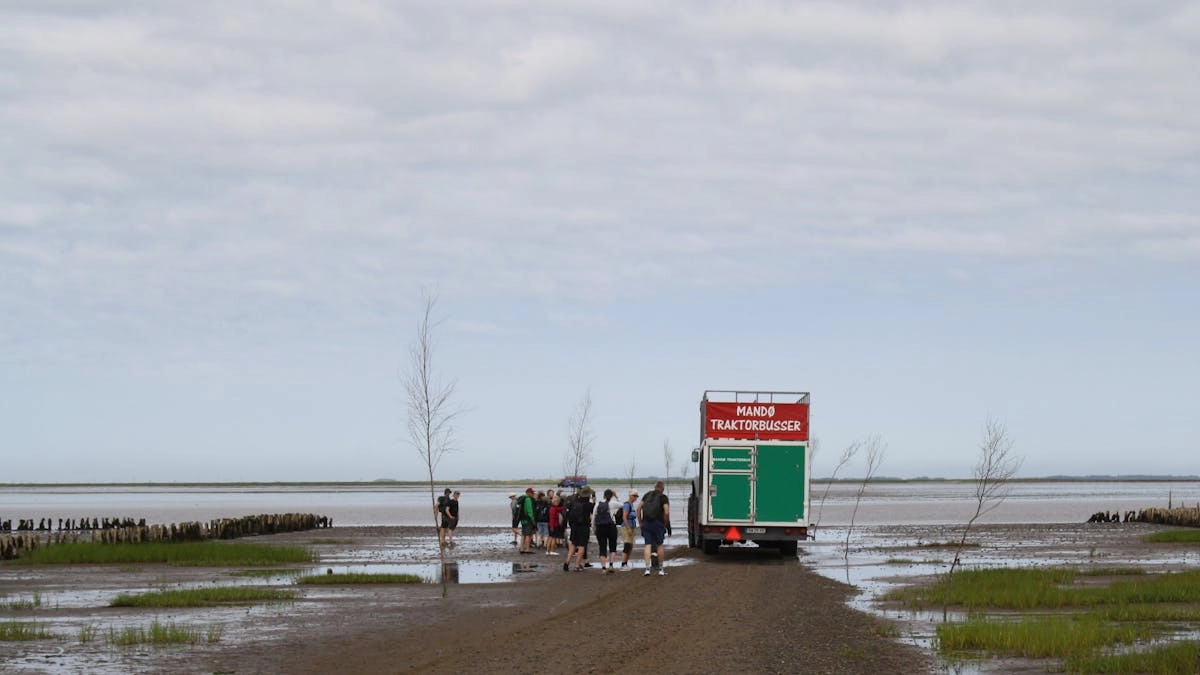 Oplev Mandø og Vadehavet