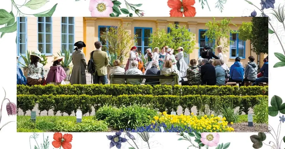 Linnés trädgårdsfest