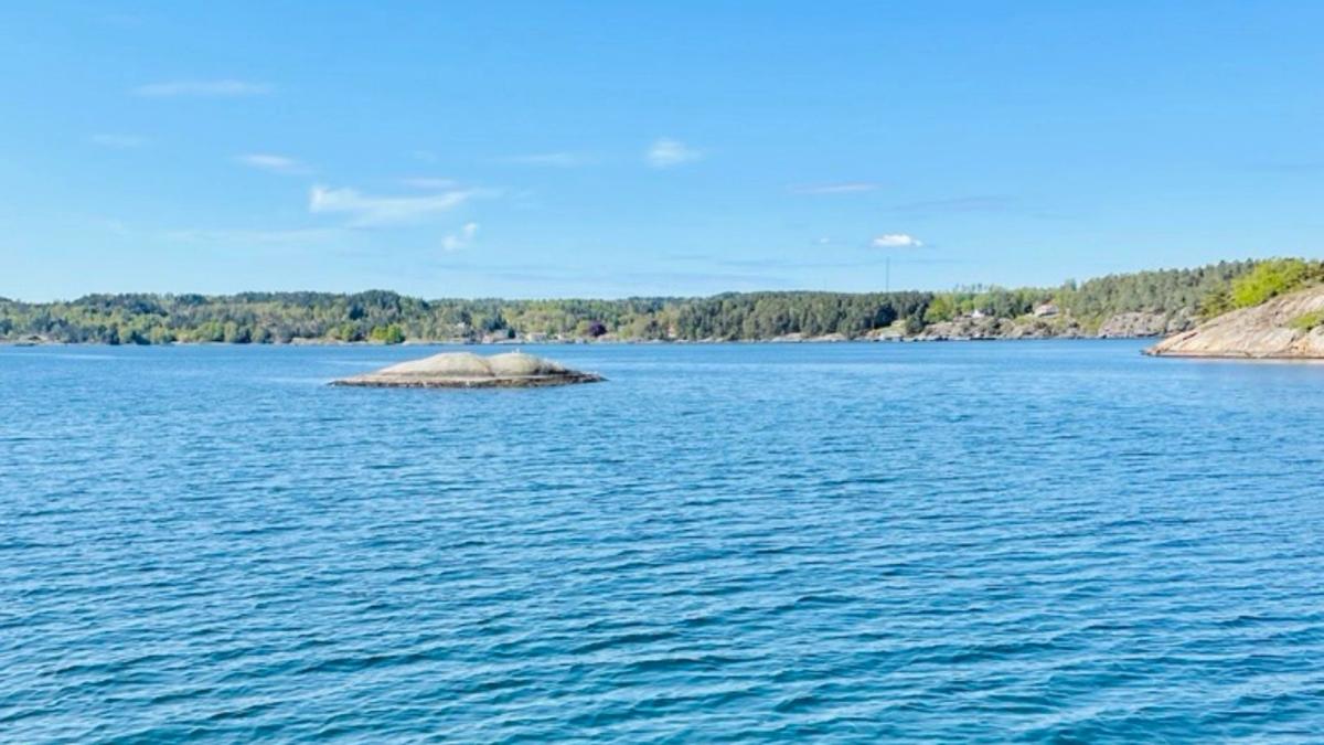 Röva runt