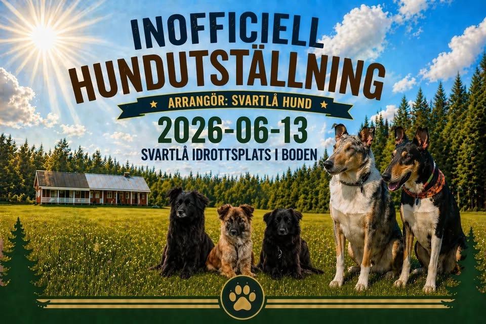 Inofficiell hundutställning