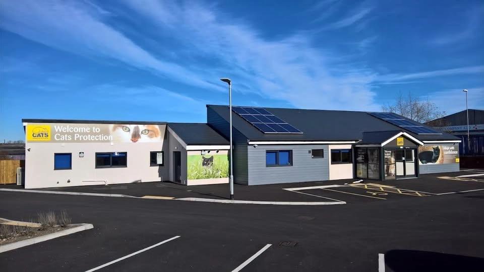 Tyneside Cat Centre Summer Open Day