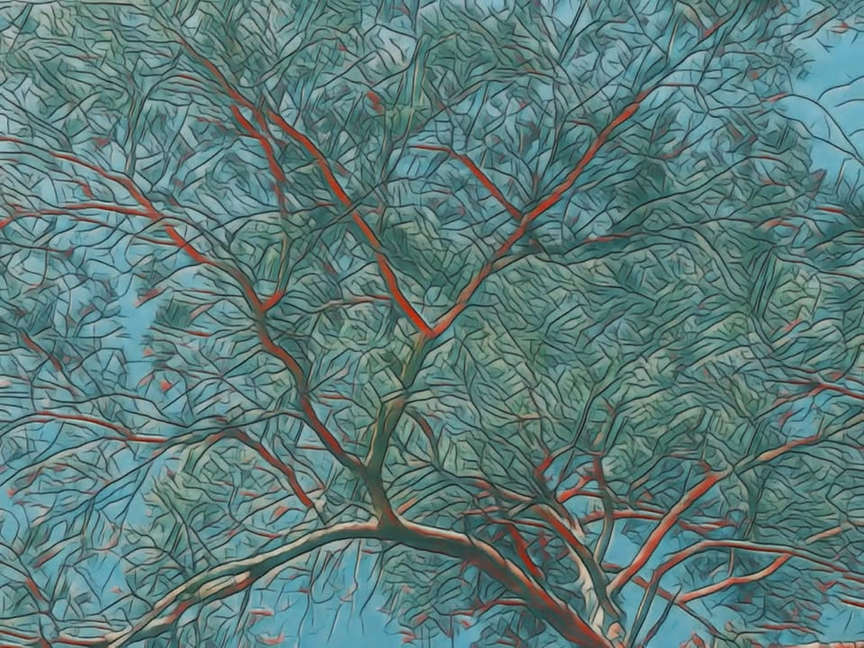 Jag behöver med kören Ymna