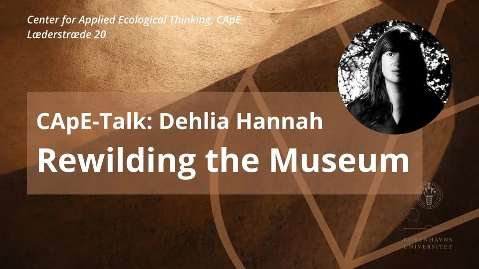 Rewilding the Museum - CApE talk by Dehlia Hannah