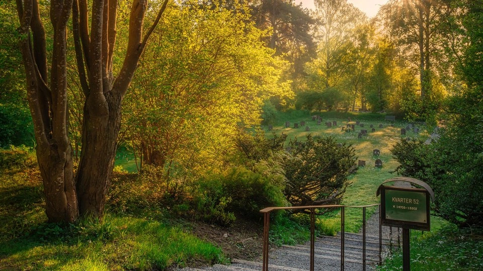 Skogskyrkogårdens dag