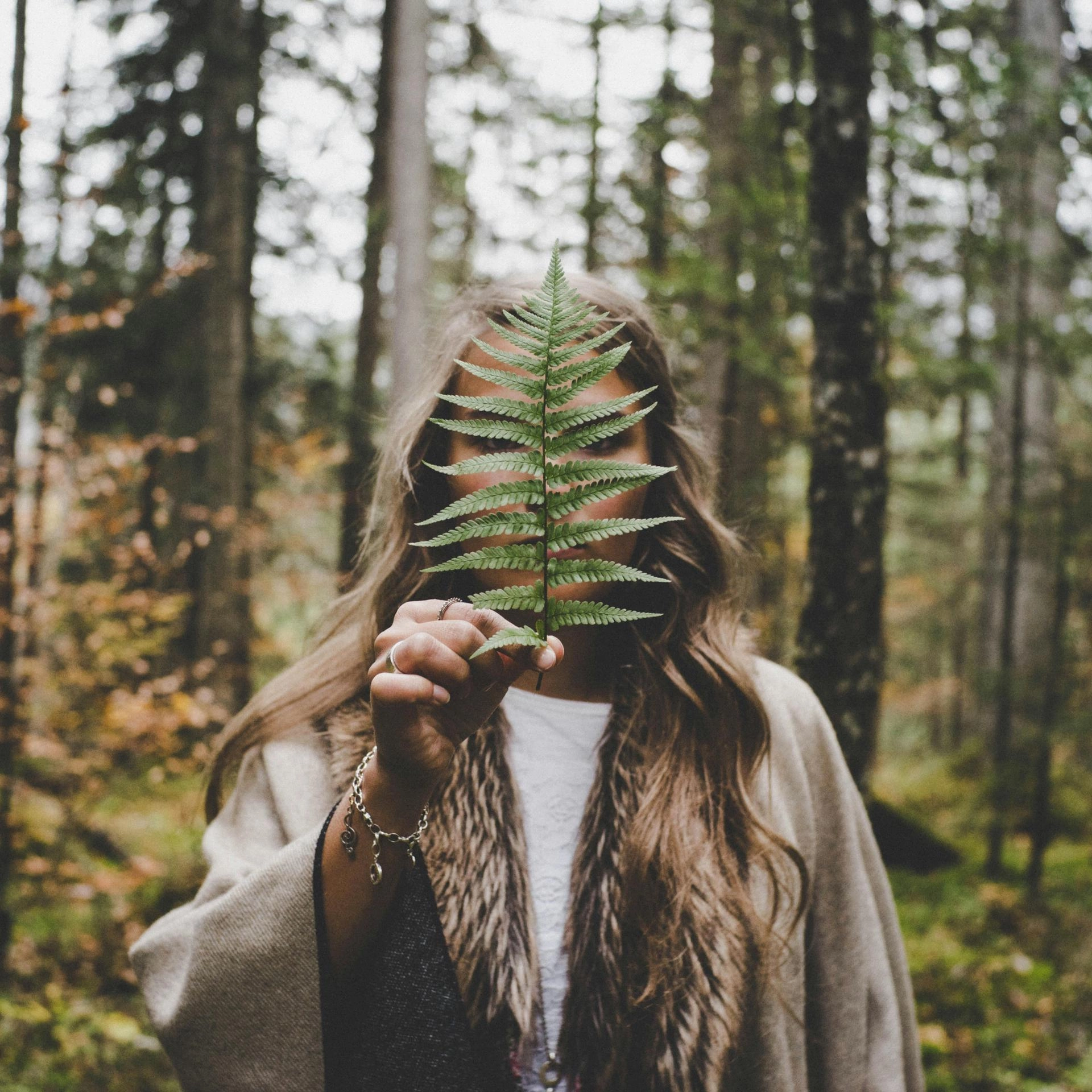 Tapping Into Our Sacred Technology: Eidetic Imagery