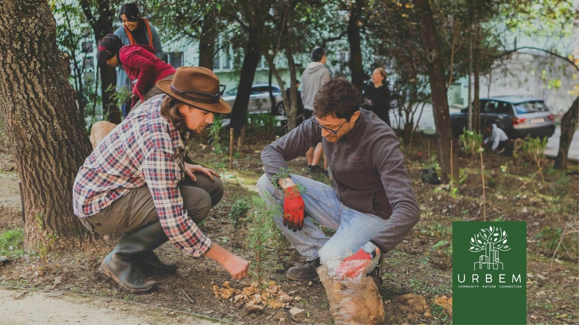 Alvalade: Fortnightly FastForest® Meetup