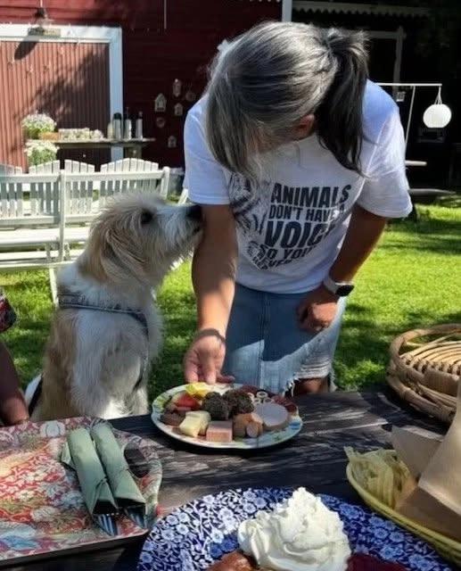 Cafét i Hundparken pop-up öppet! Helgen 18-19 juli