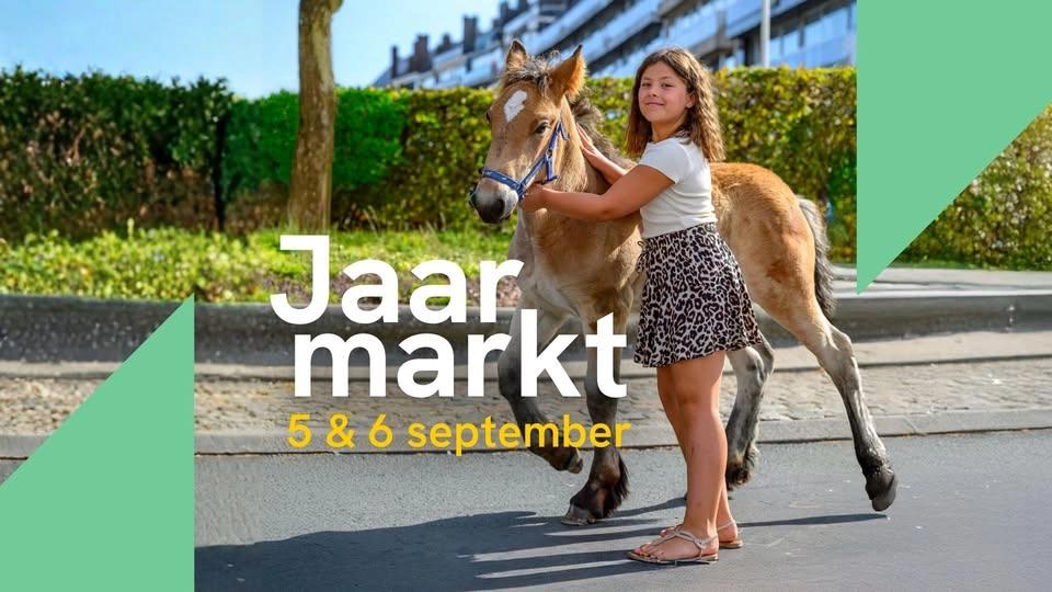 Jaarmarkt Ninove