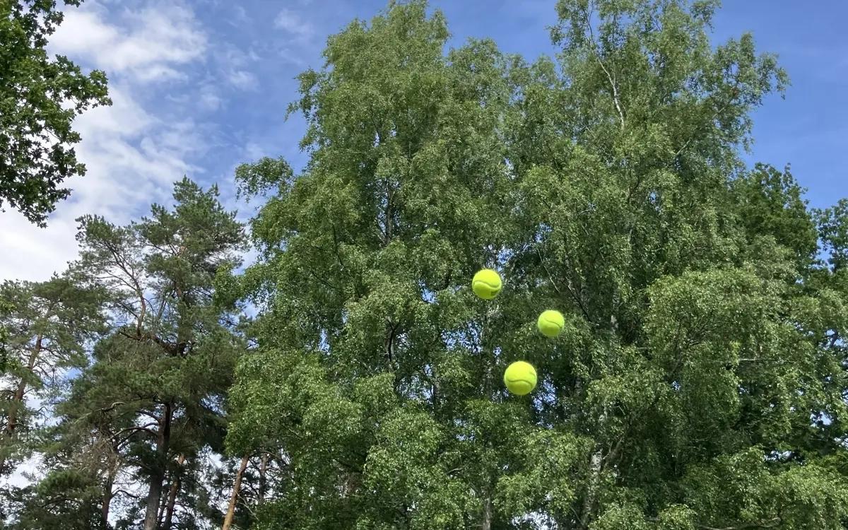 Röris i parkleken Lugnet