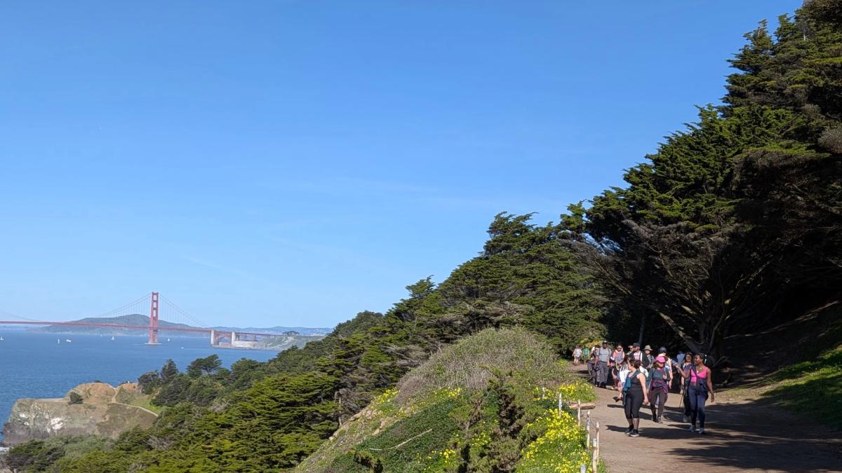 💚Green Exercise🌻🌷🌸 Wildflowers 5 Miles 🥾Ocean Hike 🌊SF Lands End🏞️