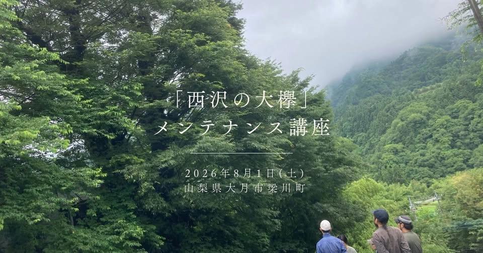 『西沢の大欅』メンテナンス講座