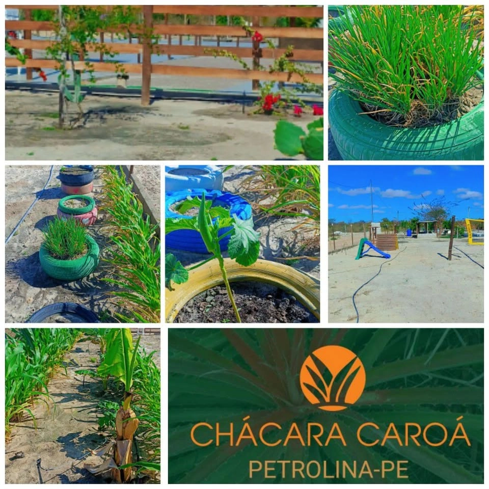 CHÁCARA CAROÁ