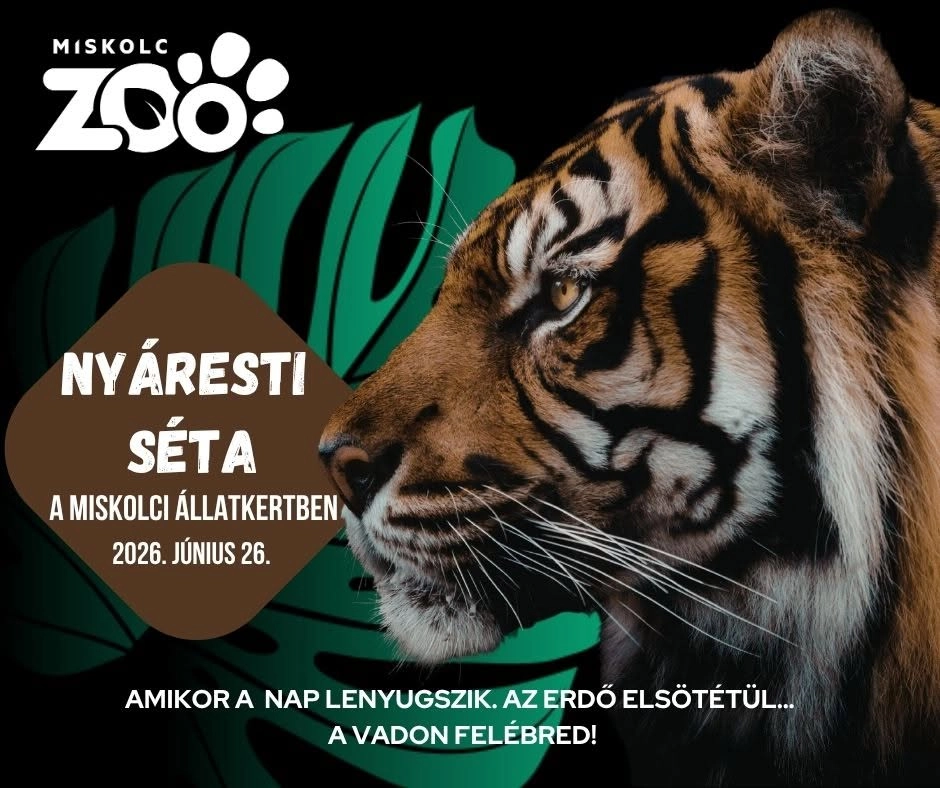 ✨🌙Nyáresti séta a Miskolci Állatkertben ✨🌙