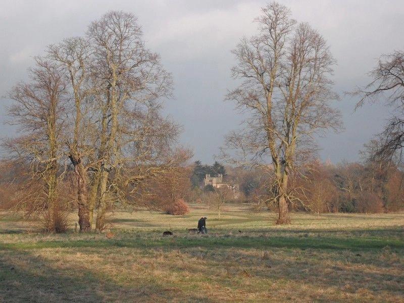 MABAC - Non Such Park - Epsom Oddballs