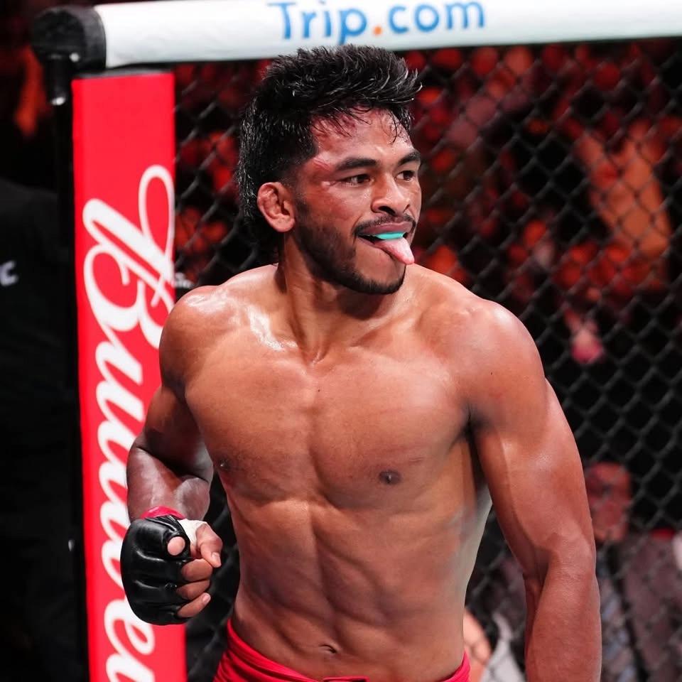 Road To UFC
