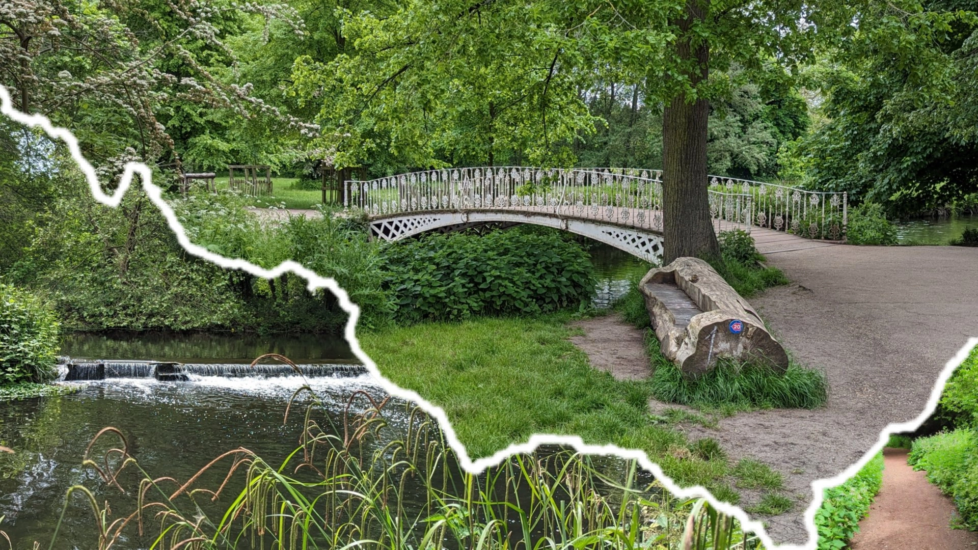 🟢🚶🏾♂️Walk: River Wandle Trail & Beddington + Local Parks