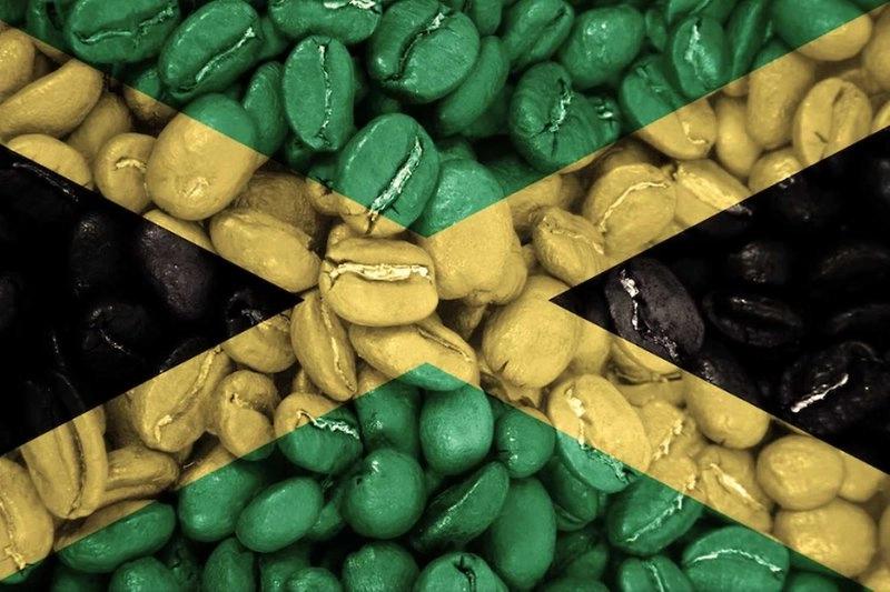 Rumfest 2026: Kávový likér Gloria Single Origin Jamaica 2025