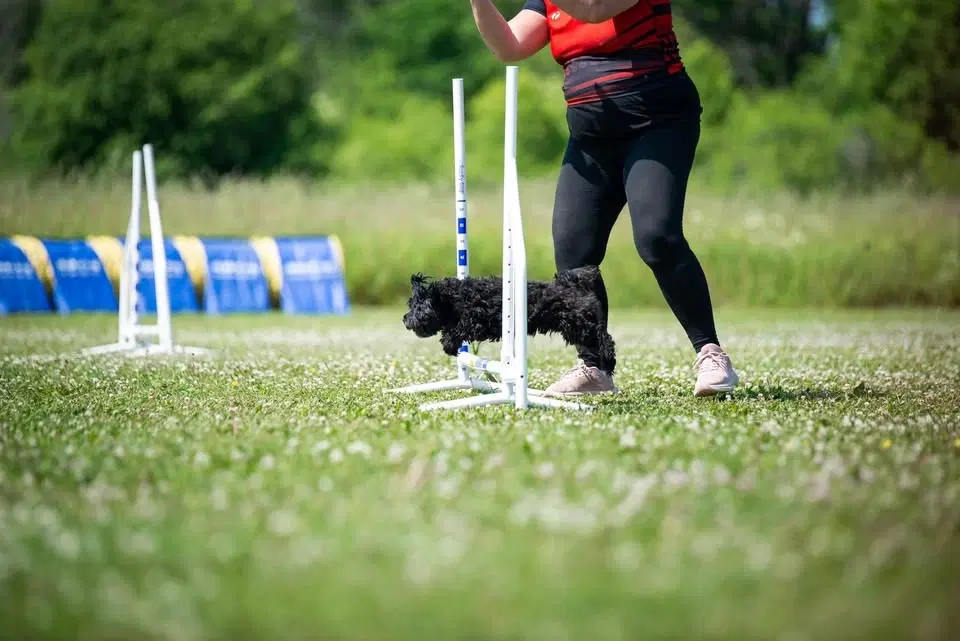 NOLLAD I UPPSALA MED MONSTER
