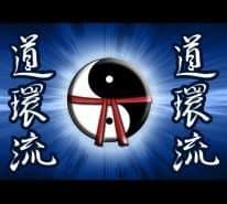 Instruktörskurs steg 2 Dokan Ryu Ju Jutsu & Sport Ju Jutsu