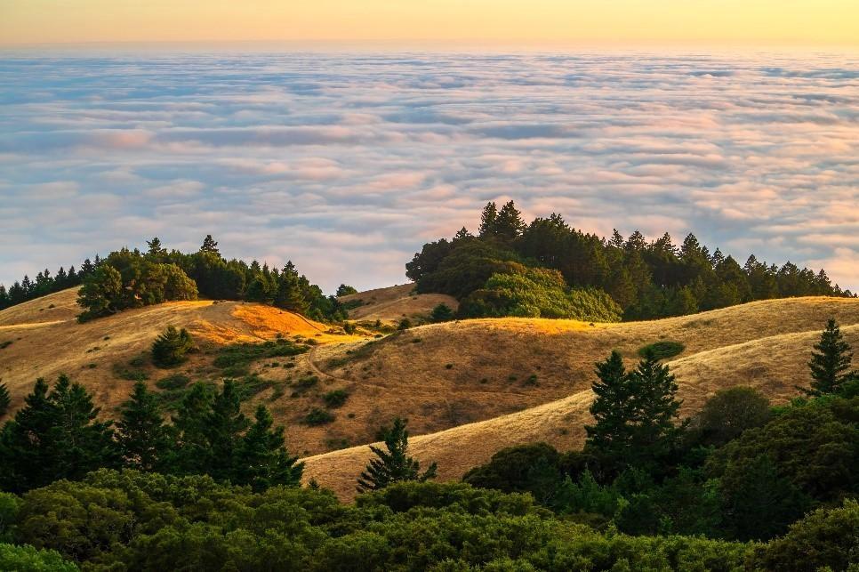 Monday Founders Hike | Post - YC SUS