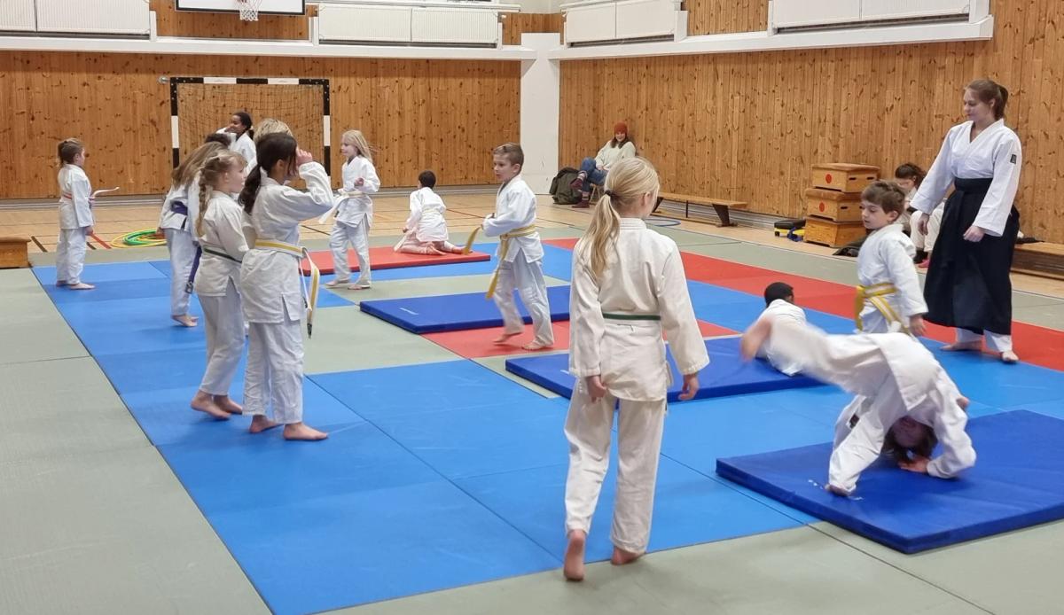 Prova på aikido med Shuren Aikido Malmö