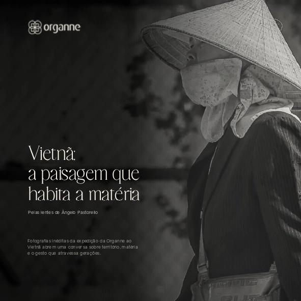 Vietnã: a paisagem que habita a matéria