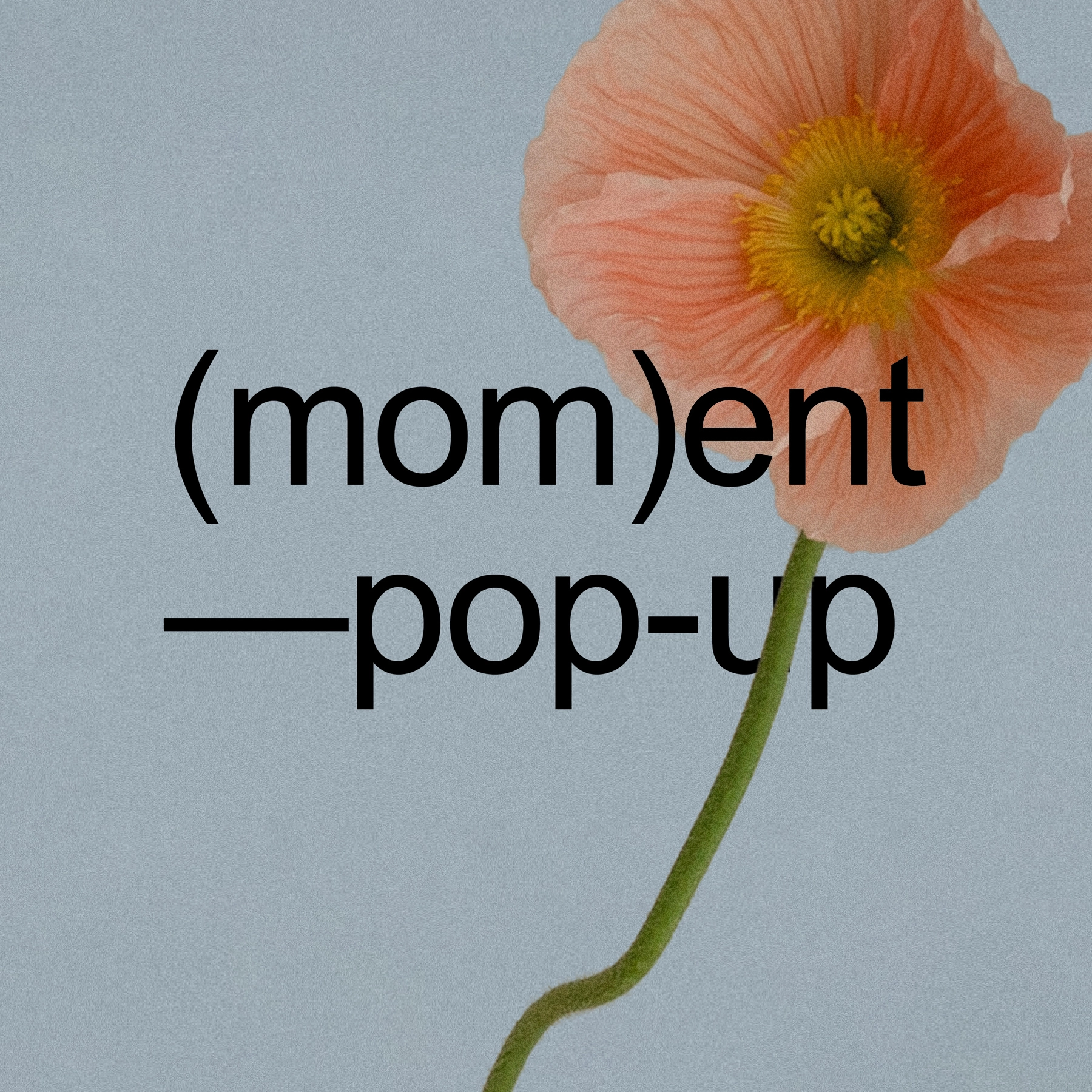 (mom)ent pop-up